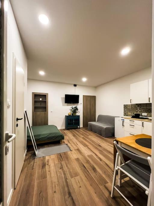 Studio Apartment Joanna Rijeka Zewnętrze zdjęcie
